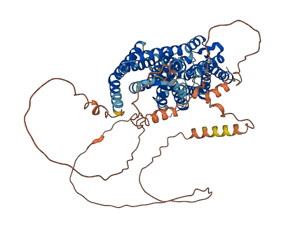 SLC20A1 3D structure