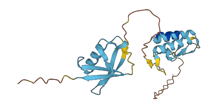 UBTD2 3D structure