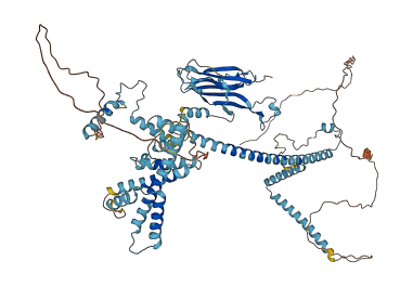 CACTIN 3D structure