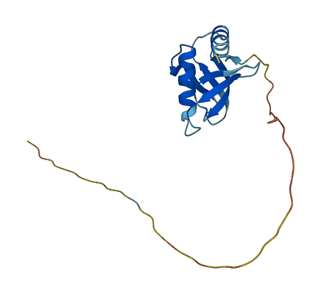 C15orf40 3D structure