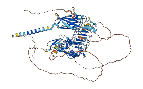 LRRN4 3D structure