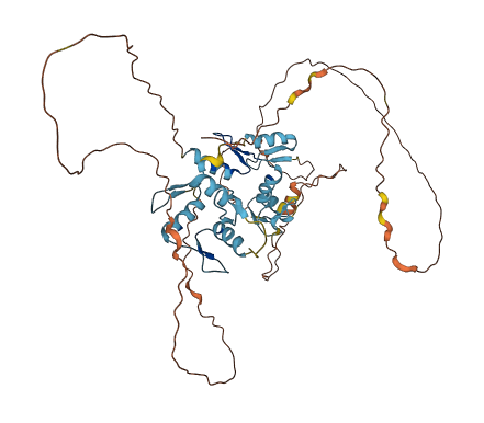 ZNF296 3D structure