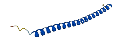 BRK1 3D structure