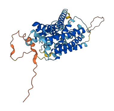 SLC38A5 3D structure