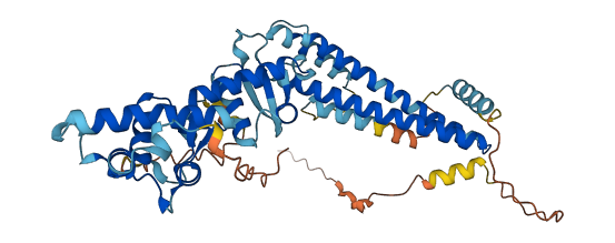 CHMP7 3D structure
