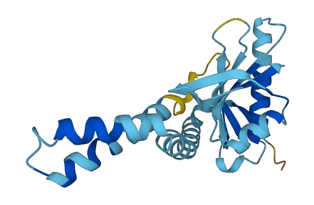 NAT14 3D structure