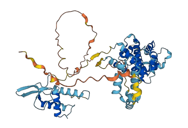 DEPDC1B 3D structure