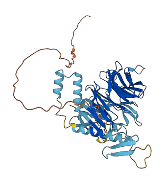 DCAF4 3D structure