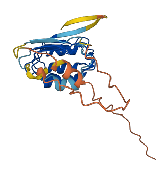 LRRC29 3D structure