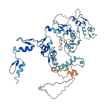 ZNF480 3D structure