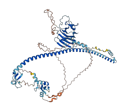 TRIM41 3D structure