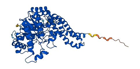 HEXD 3D structure
