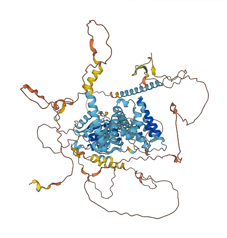 CHTF18 3D structure