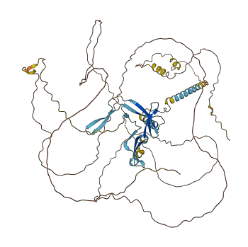 LEO1 3D structure
