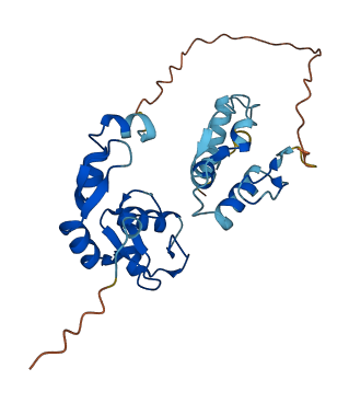 RNF138 3D structure
