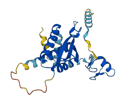 RNF141 3D structure