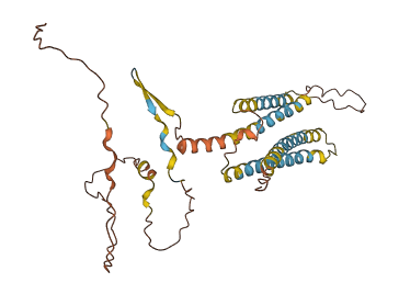 TMEM171 3D structure