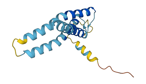 TMEM170A 3D structure