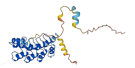 ANKRD49 3D structure