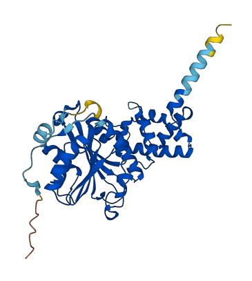 TFB1M 3D structure