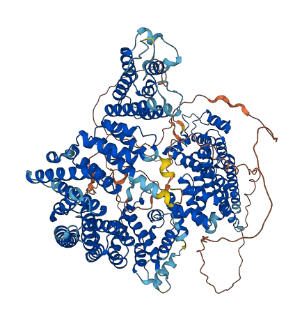 STAG1 3D structure