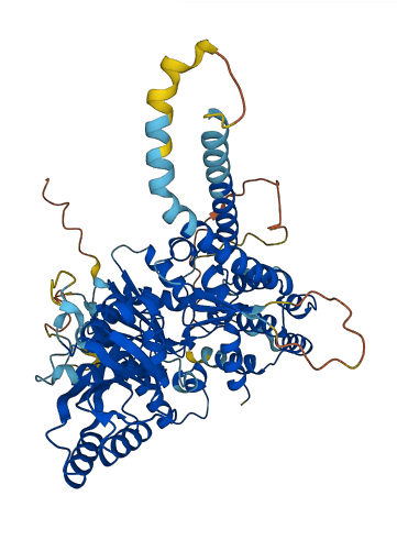SCFD1 3D structure