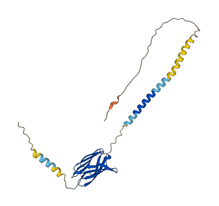 SECTM1 3D structure