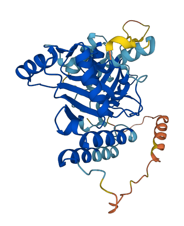 UBE2Q2 3D structure
