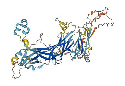 MAP11 3D structure
