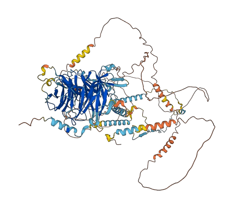 WDR60 3D structure