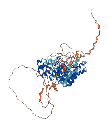 TRAPPC12 3D structure