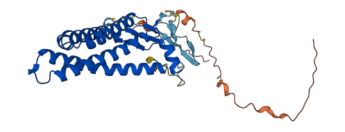 ZDHHC19 3D structure