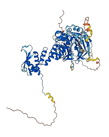 KBTBD7 3D structure