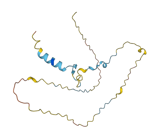 PCNP 3D structure
