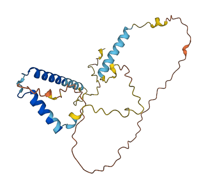 C10orf82 3D structure
