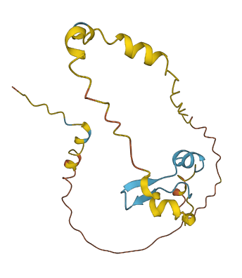 C17orf50 3D structure
