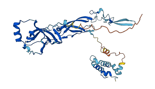 DNAJA4 3D structure