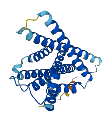 APH1B 3D structure
