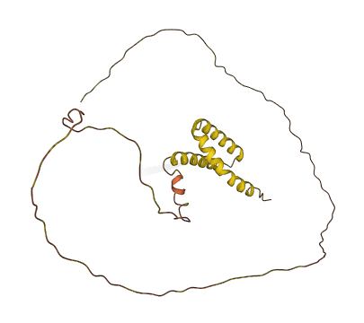 TMEM40 3D structure