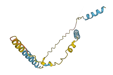 C1orf54 3D structure