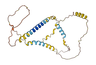 SSMEM1 3D structure