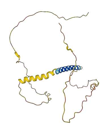 KCNE4 3D structure