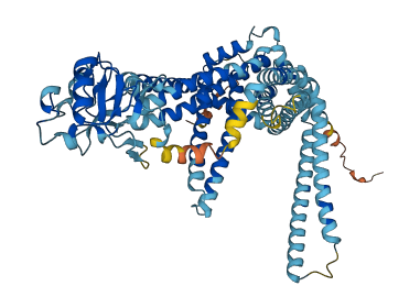 SLC44A1 3D structure