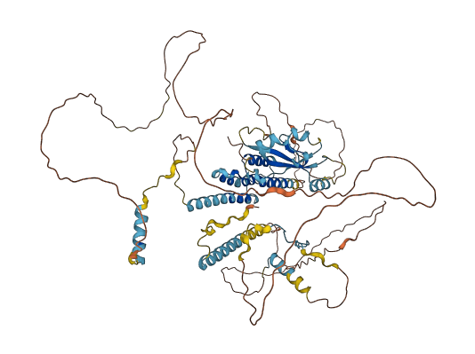 CKAP2 3D structure