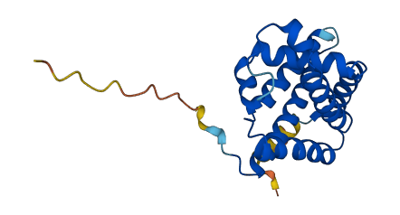 CYGB 3D structure