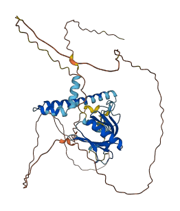 IPCEF1 3D structure