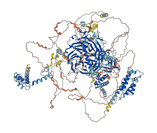 PHIP 3D structure
