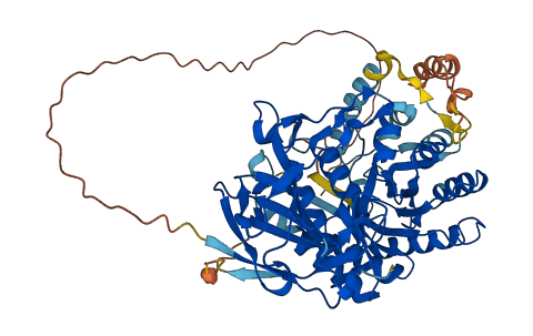 HPSE2 3D structure