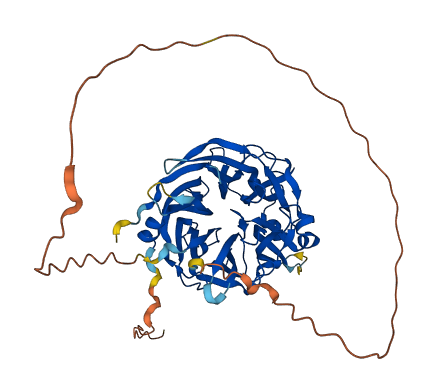 NEU4 3D structure