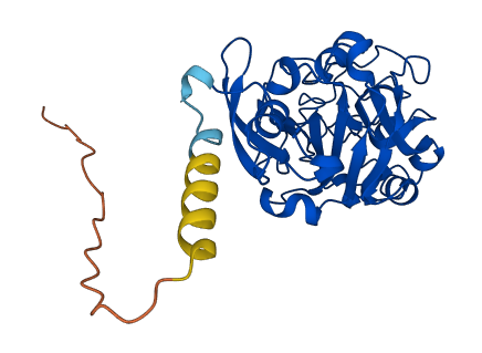 ITLN2 3D structure